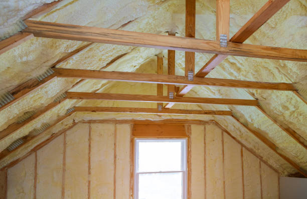 Best Specialized Insulation Services in Holcom, KS