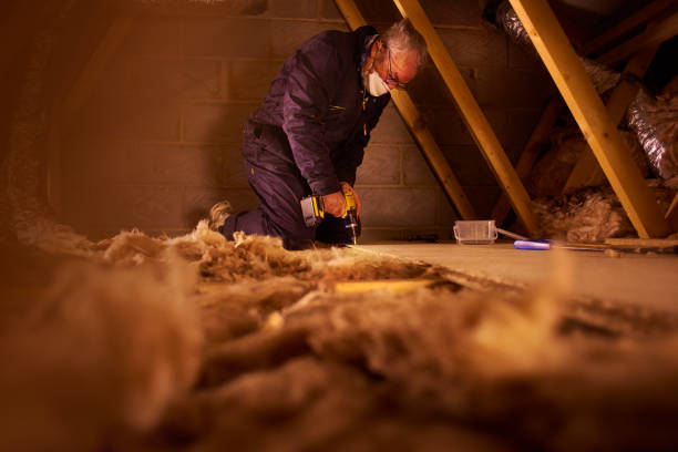 Best Blown-in Insulation in Holcom, KS